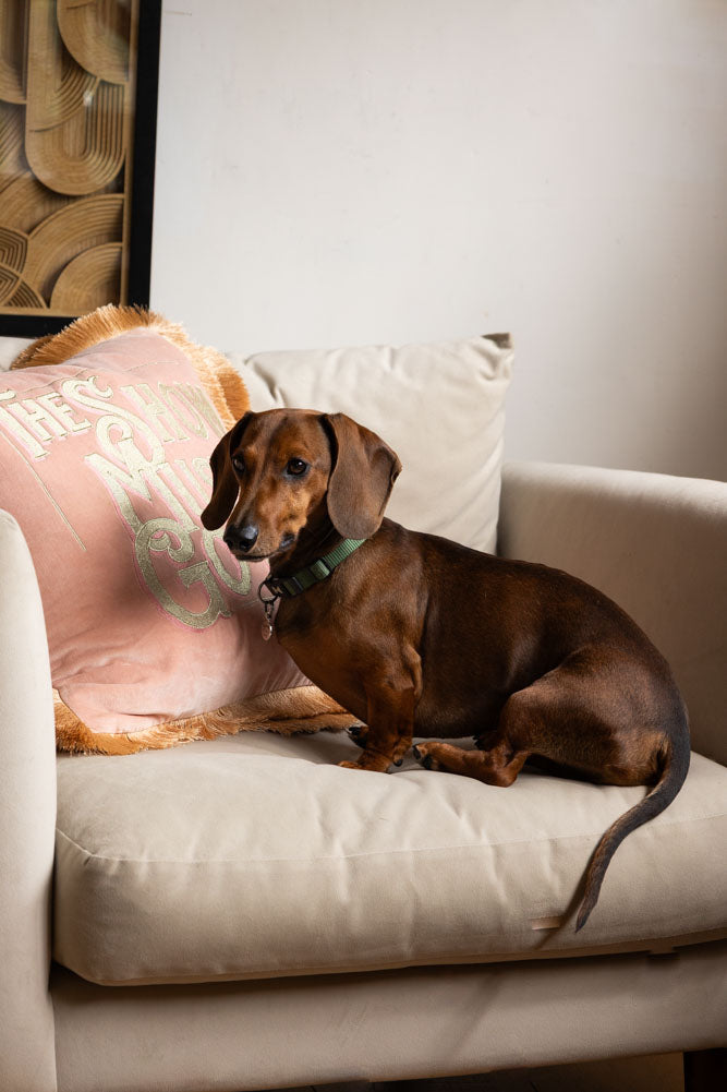 Coussin brodé à double frange en velours rose « Show Must Go On »