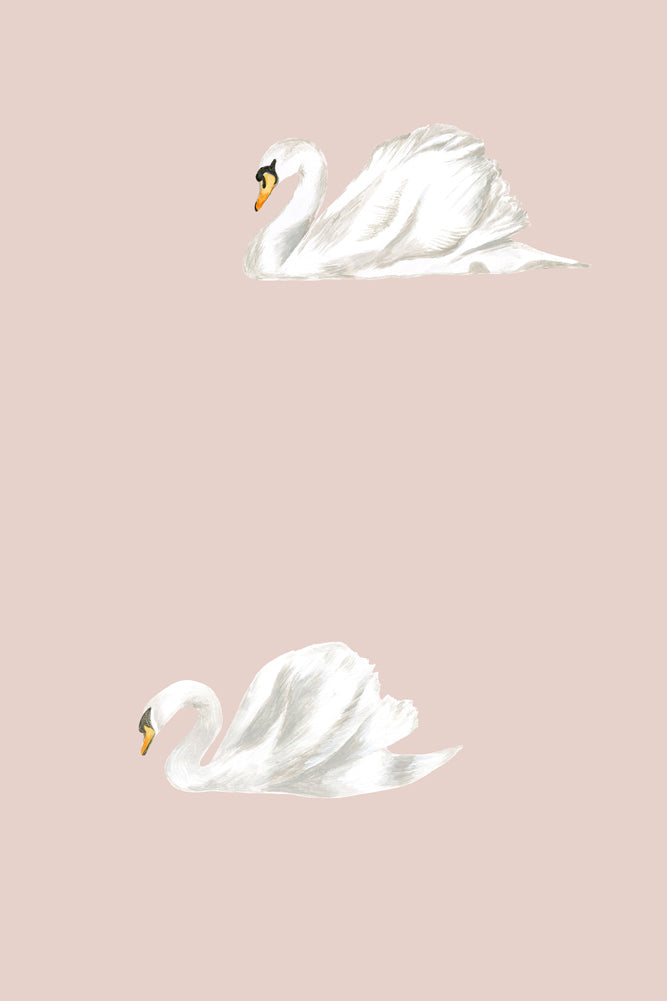Fond d'écran Bébé Cygne de Stil Haven - ARRÊTÉ