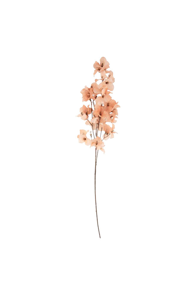 Jolie tige de fleur rose