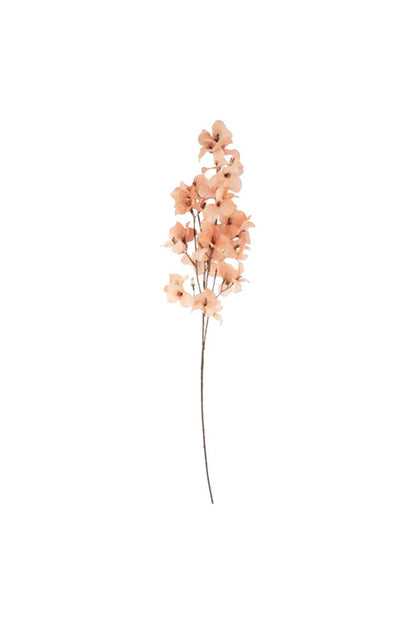 Jolie tige de fleur rose