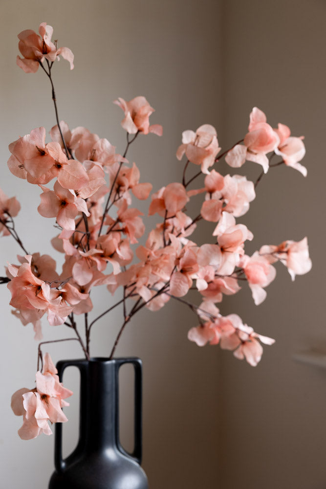 Jolie tige de fleur rose