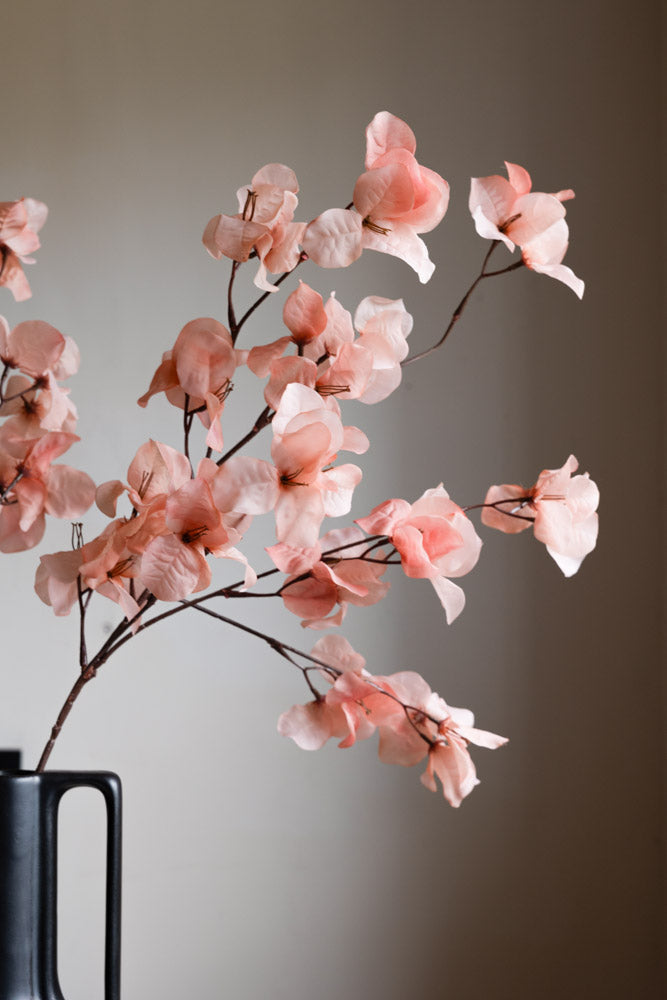 Jolie tige de fleur rose