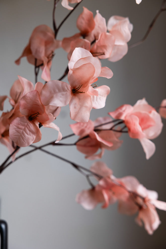 Jolie tige de fleur rose