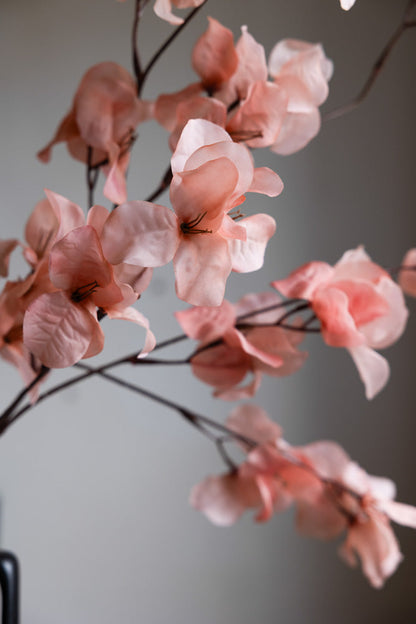 Jolie tige de fleur rose