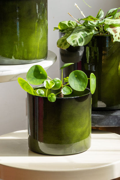 Pot de fleurs en acier recyclé vert vif - Disponible en 3 tailles